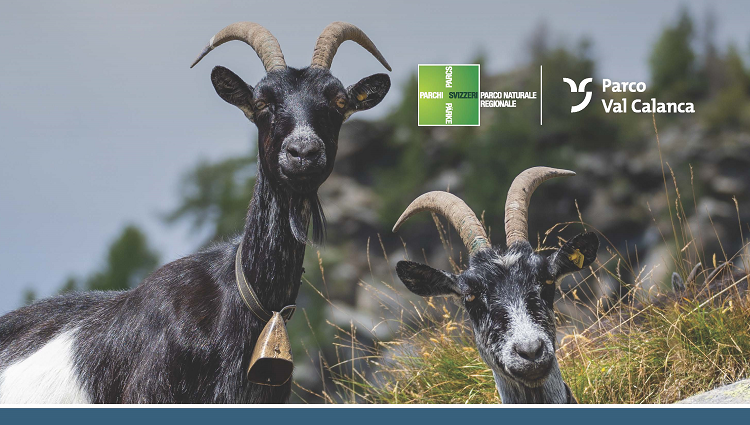 13.09.2025 Festa degli alpigiani - Rossa