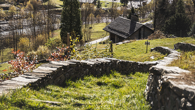 Programma attività 2025